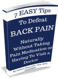 Back Pain E-book Cover